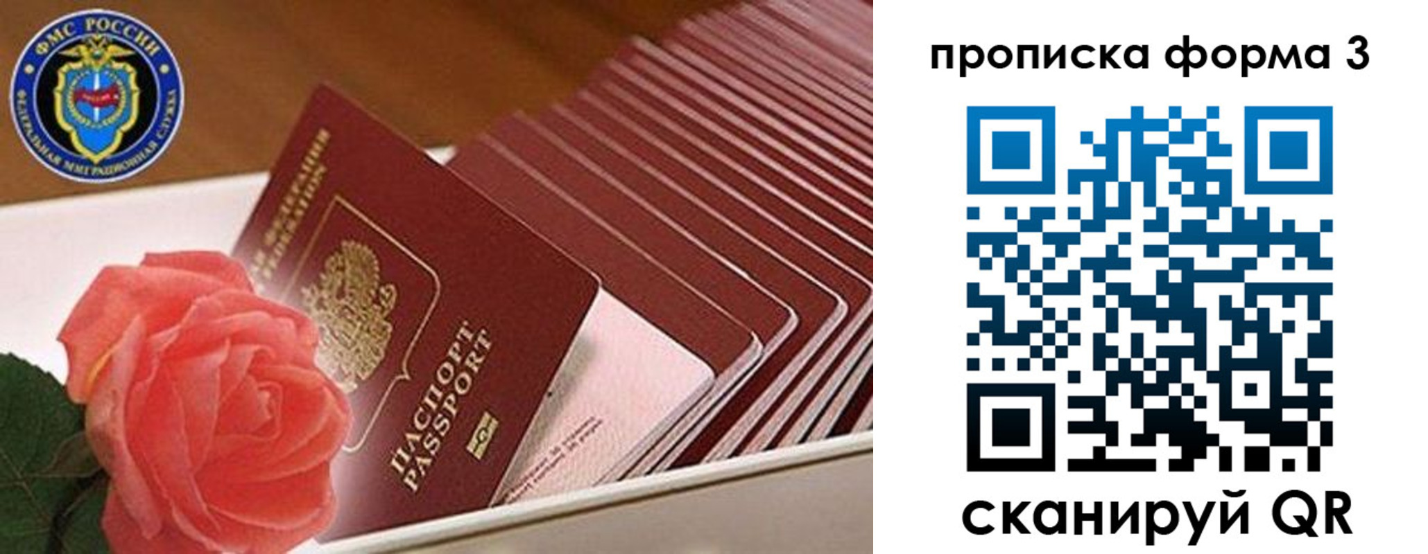 временная регистрация надежно в Бердске